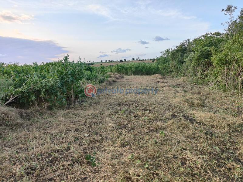 Land For Sale Malindi, Marereni Adu Kilifi - 2