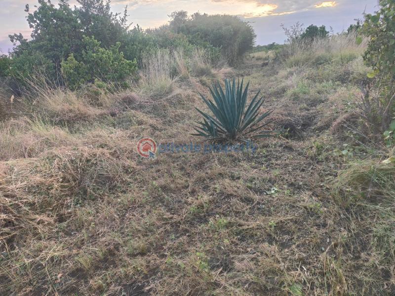 Land For Sale Malindi, Marereni Adu Kilifi - 4