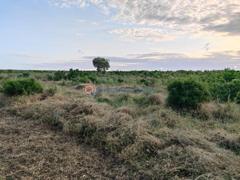 Land For Sale Malindi, Marereni Adu Kilifi - 3