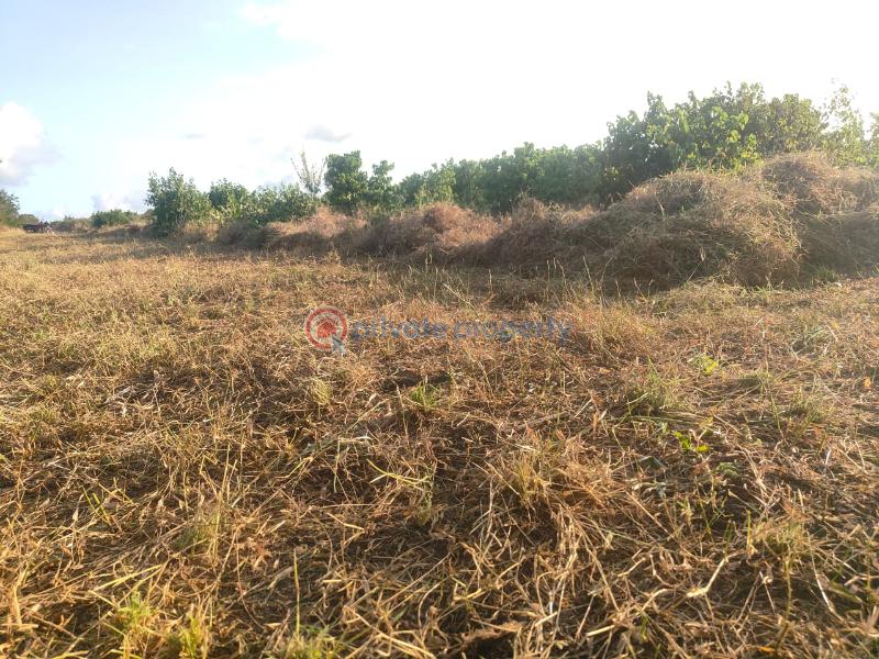 Land For Sale Malindi, Marereni Adu Kilifi - 1
