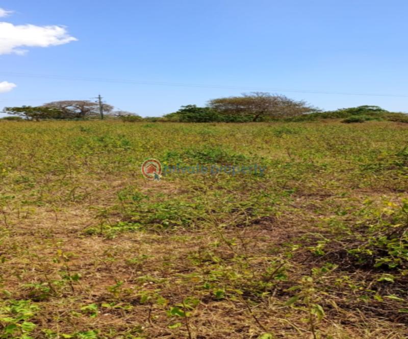 Land For Sale Kilifi Creek Mnarani Kilifi - 2