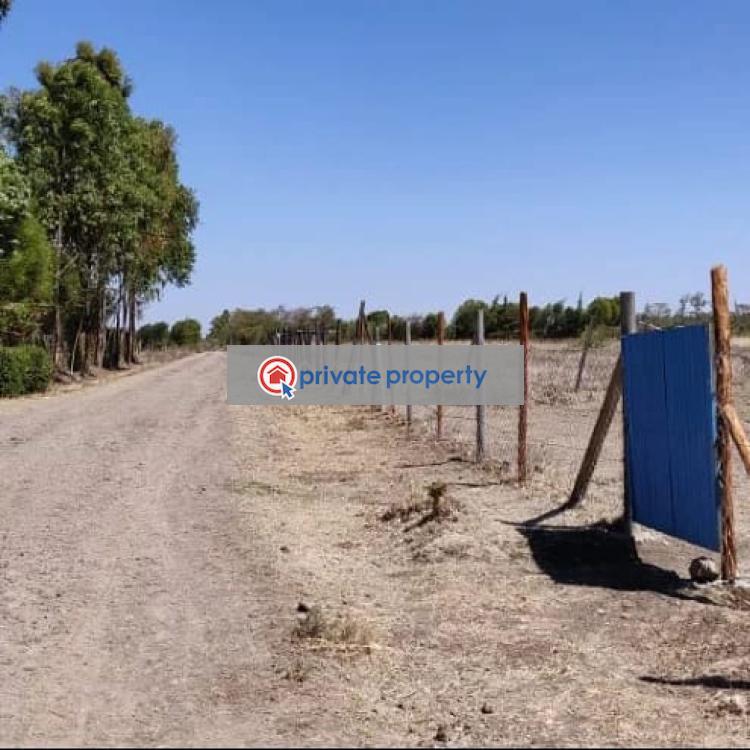 Residential Land For Sale &nbsp;burguret Area Nanyuki Laikipia - 3