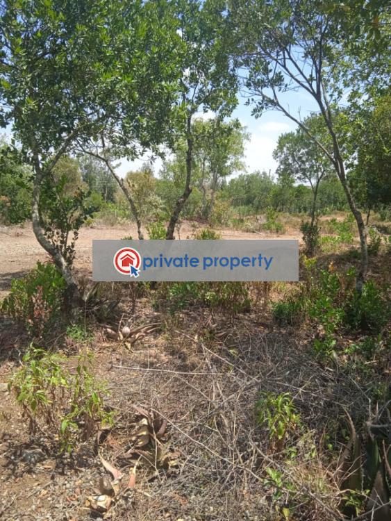 Residential Land For Sale &nbsp;burguret Area Nanyuki Laikipia - 6