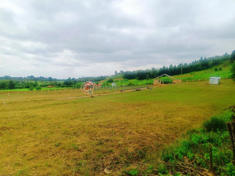 Residential Land For Sale Ndiguini, Nachu Area Kamangu Kikuyu Kiambu - 18