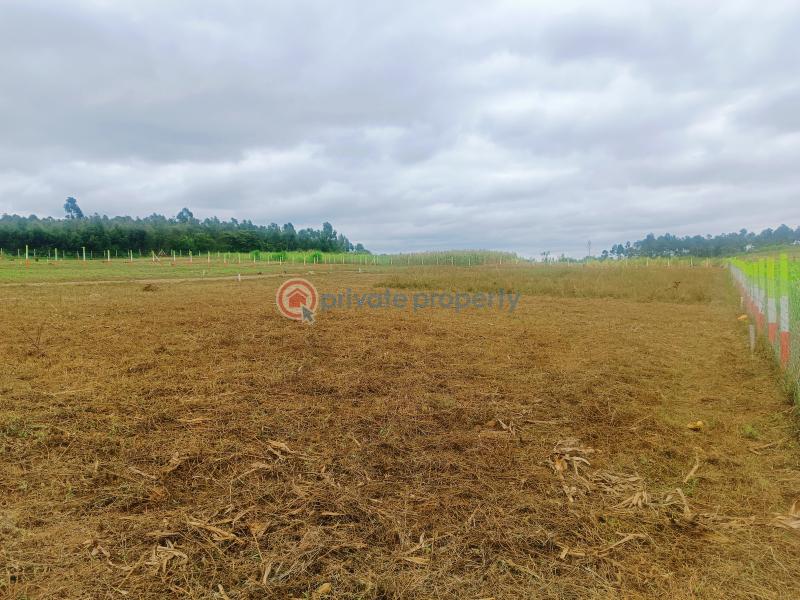 Residential Land For Sale Ndiguini, Nachu Area Kamangu Kikuyu Kiambu - 22