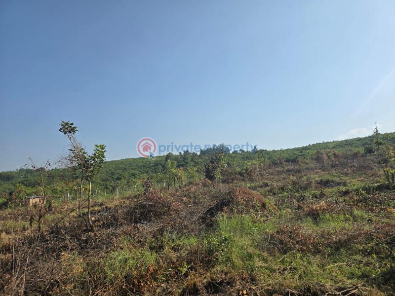 4 bedroom Residential Land For Sale Nyahera Busia Road Central Kisumu  - 8