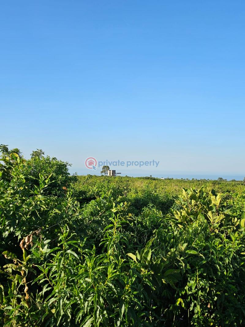 4 bedroom Residential Land For Sale Nyahera Busia Road Central Kisumu  - 9