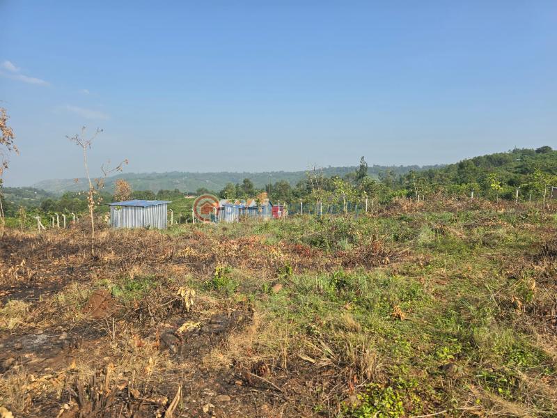 4 bedroom Residential Land For Sale Nyahera Busia Road Central Kisumu  - 7