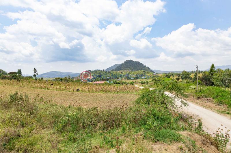 3 bedroom Land For Sale Moi Ndabi moi South Lake Road Naivasha East Nakuru - 7