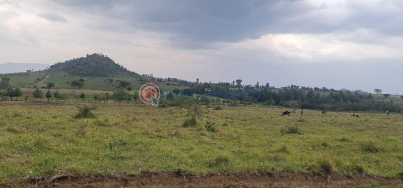 3 bedroom Land For Sale Moi Ndabi moi South Lake Road Naivasha East Nakuru - 1