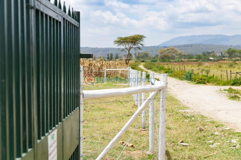 3 bedroom Land For Sale Moi Ndabi moi South Lake Road Naivasha East Nakuru - 5