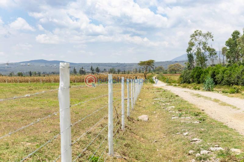 3 bedroom Land For Sale Moi Ndabi moi South Lake Road Naivasha East Nakuru - 4
