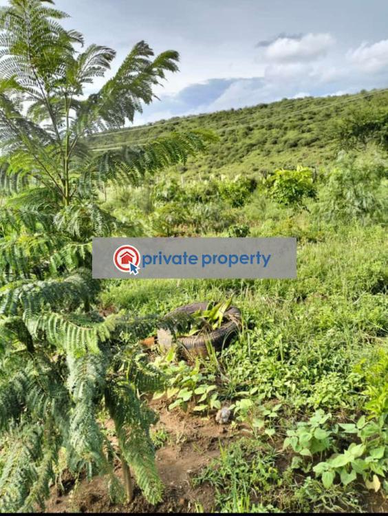 Residential Land For Sale &nbsp;nguirubi Ndiuini Kikuyu Kiambu - 2