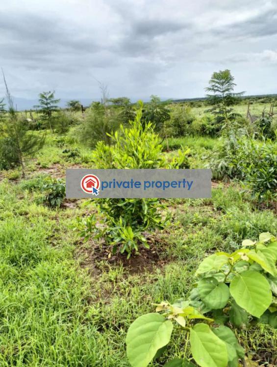 Residential Land For Sale &nbsp;nguirubi Ndiuini Kikuyu Kiambu - 7