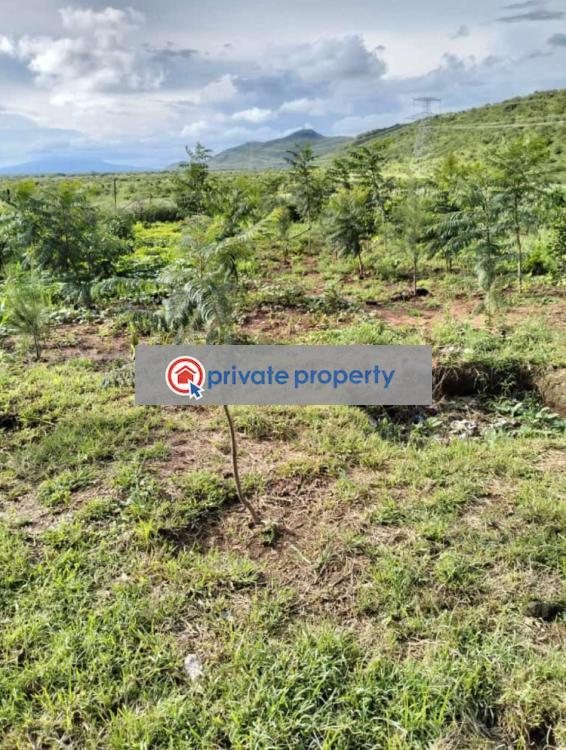 Residential Land For Sale &nbsp;nguirubi Ndiuini Kikuyu Kiambu - 3