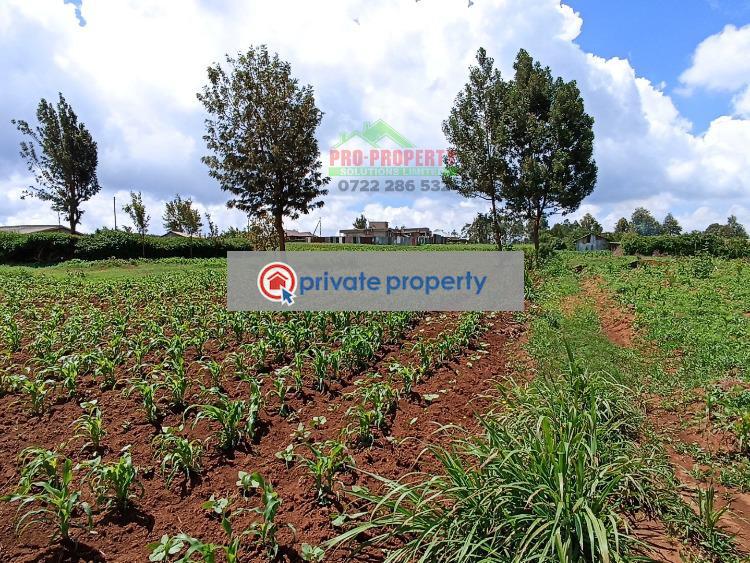 Residential Land For Sale &nbsp;kamangu Kikuyu Kiambu - 11