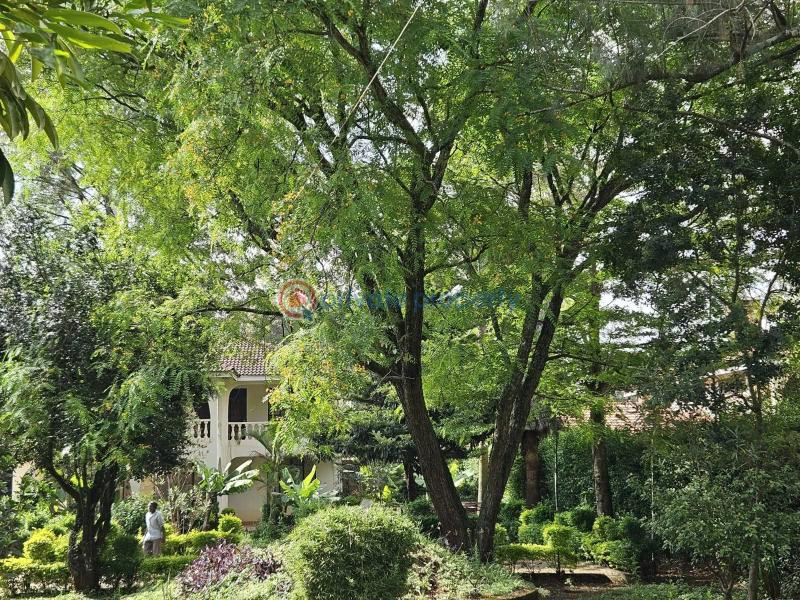4 bedroom House For Sale Nairobi Karen  - 2