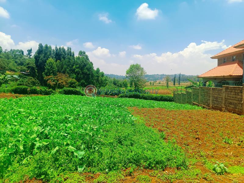 Residential Land For Sale Ondiri Kikuyu Kiambu - 8
