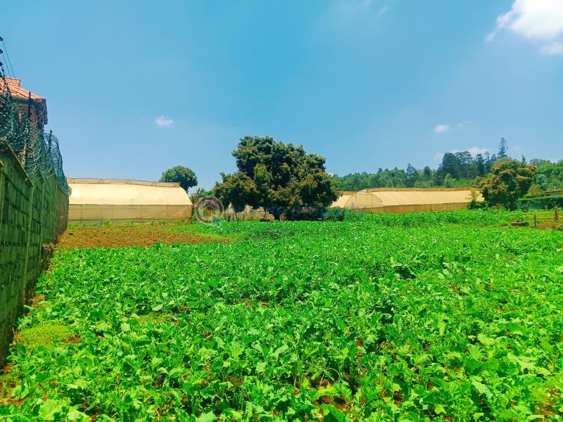 Residential Land For Sale Ondiri Kikuyu Kiambu - 4