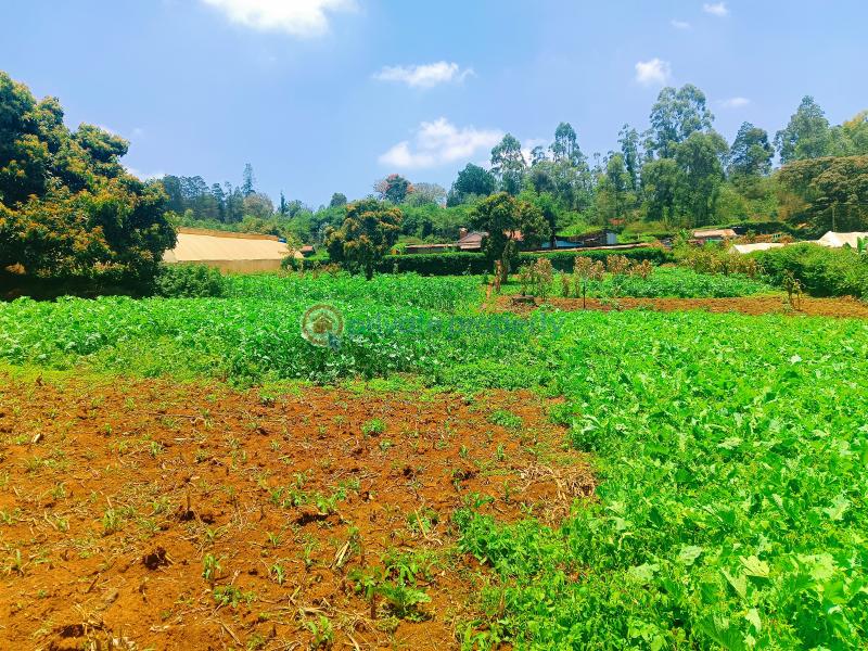 Residential Land For Sale Ondiri Kikuyu Kiambu - 5