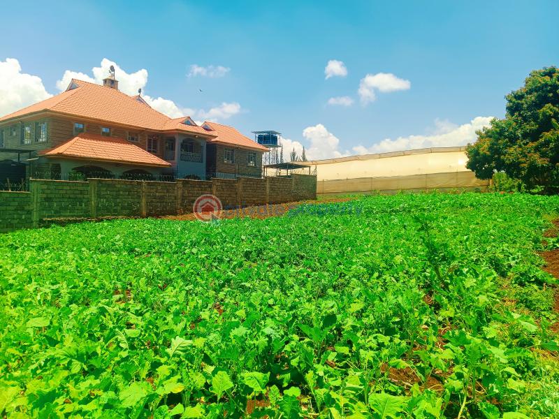 Residential Land For Sale Ondiri Kikuyu Kiambu - 2