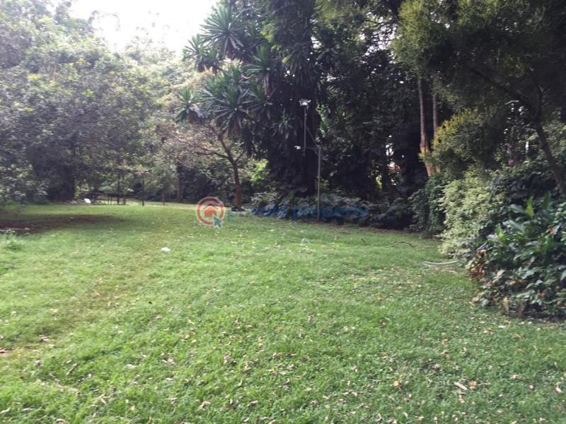 3 bedroom House For Rent Gigiri New Muthaiga Nairobi - 3