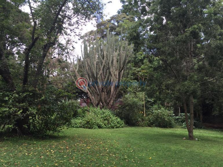 3 bedroom House For Rent Gigiri New Muthaiga Nairobi - 13