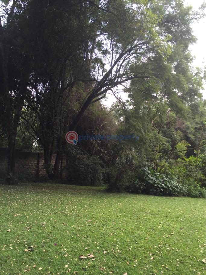 3 bedroom House For Rent Gigiri New Muthaiga Nairobi - 0
