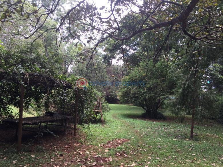 3 bedroom House For Rent Gigiri New Muthaiga Nairobi - 22