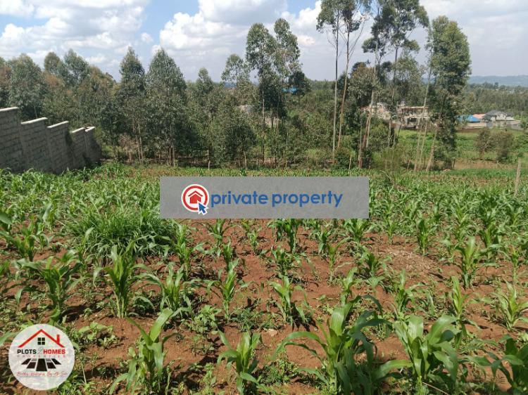 Residential Land For Sale &nbsp;runana Kamangu Kikuyu Kiambu - 2