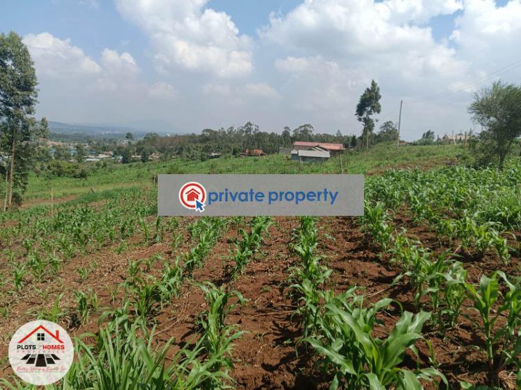 Residential Land For Sale &nbsp;runana Kamangu Kikuyu Kiambu - 4
