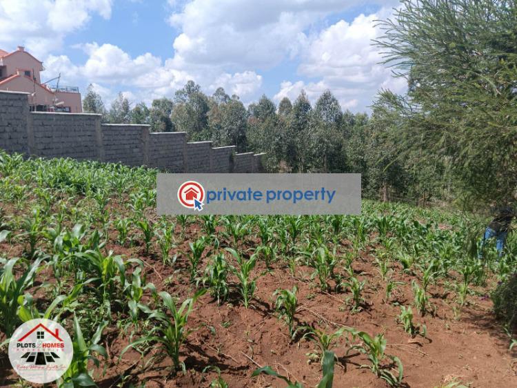 Residential Land For Sale &nbsp;runana Kamangu Kikuyu Kiambu - 1