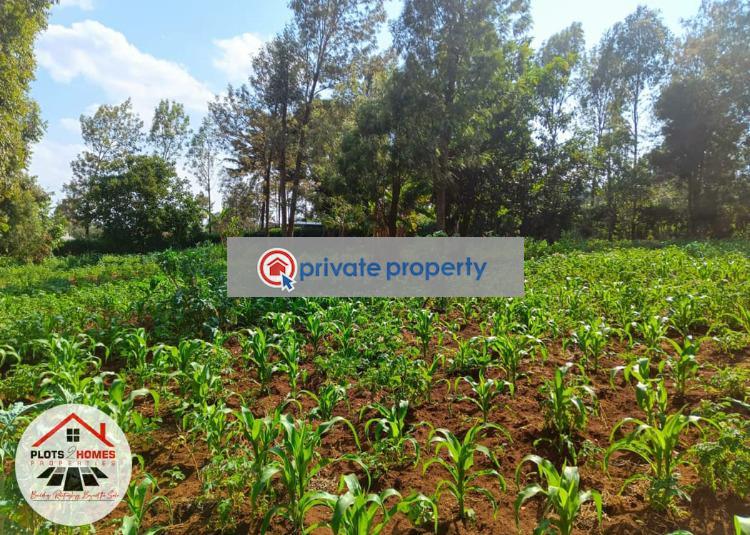 Commercial Land For Sale &nbsp;thogoto Kikuyu Kiambu - 3
