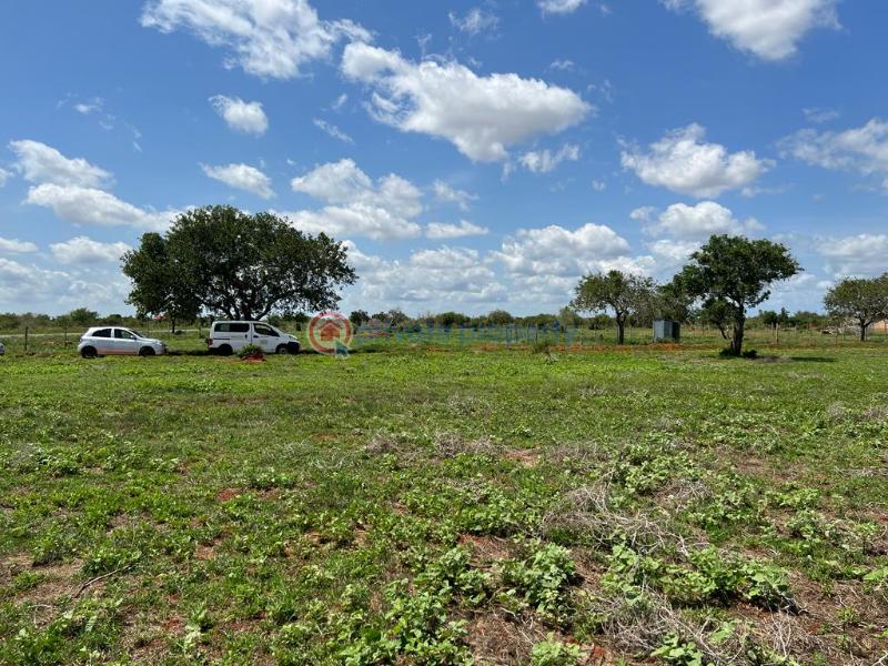 Land For Sale Along Salagate Tarmac Road Bao Lala. Malindi Town Kilifi - 3