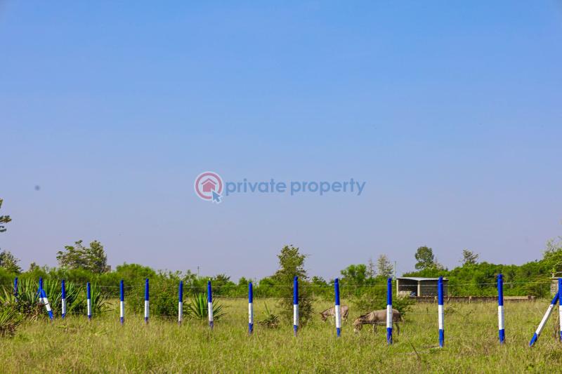 Residential Land For Sale kamakis Ruiru Kiambu - 2