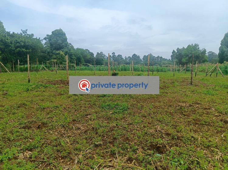 Residential Land For Sale &nbsp;mai Ai Hii Thogoto Kikuyu Kiambu - 7