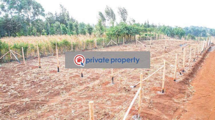 Residential Land For Sale &nbsp;migumoini Kamangu Kikuyu Kiambu - 4