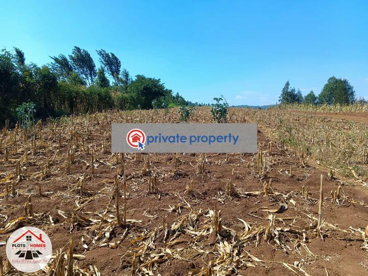 Residential Land For Sale &nbsp;migumoini Kamangu Kikuyu Kiambu - 4