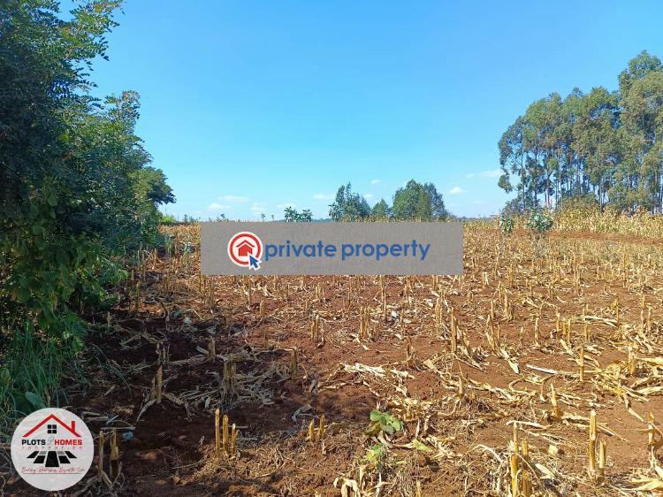 Residential Land For Sale &nbsp;migumoini Kamangu Kikuyu Kiambu - 5