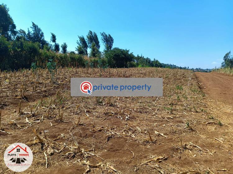Residential Land For Sale &nbsp;migumoini Kamangu Kikuyu Kiambu - 3