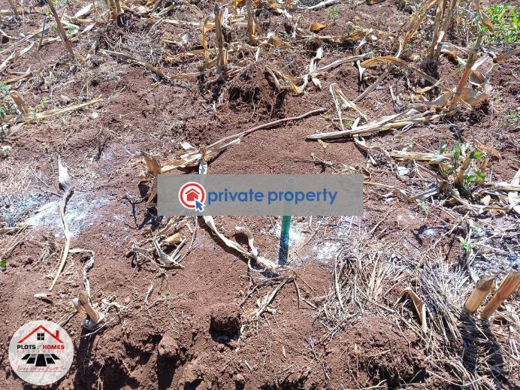 Residential Land For Sale &nbsp;migumoini Kamangu Kikuyu Kiambu - 7