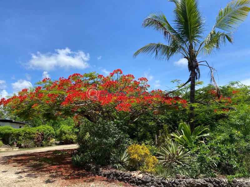 3 bedroom House For Sale Kuruwitu Beach Shimo La Tewa Kilifi - 18