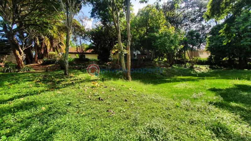 4 bedroom House For Sale Kyuna Westlands Nairobi - 4
