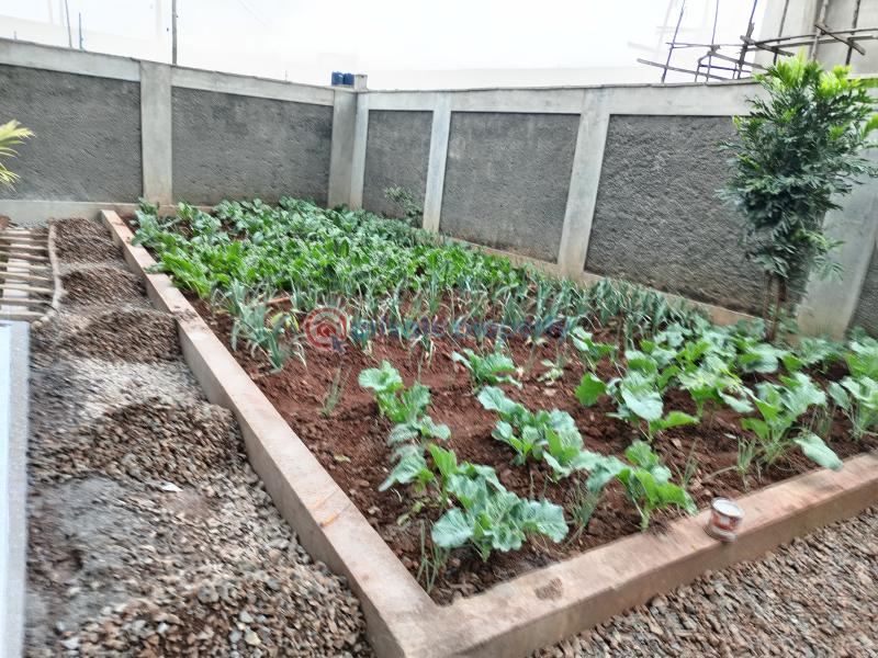 5 bedroom House For Sale Nairobi Ndogo Kikuyu Kiambu - 5