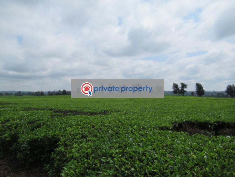 Land For Sale &nbsp;kiambu Road Cianda Kiambu - 11