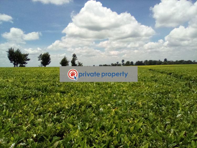 Land For Sale &nbsp;kiambu Road Cianda Kiambu - 2