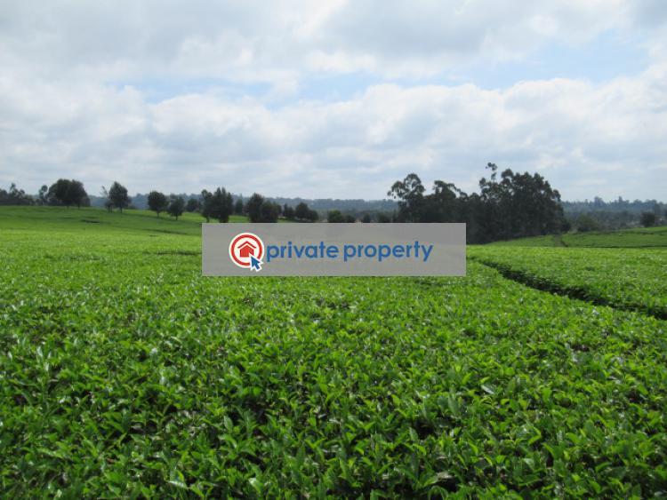 Land For Sale &nbsp;kiambu Road Cianda Kiambu - 4