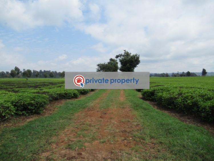 Land For Sale &nbsp;kiambu Road Cianda Kiambu - 10