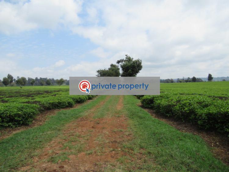 Land For Sale &nbsp;kiambu Road Cianda Kiambu - 8