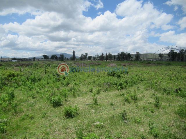 Land For Sale Moi South Lake Rd Naiavsha Naivasha East Nakuru - 2